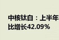 中核钛白：上半年归母净利润3.04亿元，同比增长42.09%