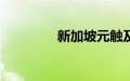 新加坡元触及2024年新高