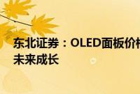 东北证券：OLED面板价格触底回升，看好中国面板厂商的未来成长