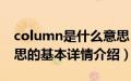 column是什么意思（关于column是什么意思的基本详情介绍）