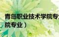 青岛职业技术学院专业介绍（青岛职业技术学院专业）