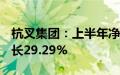 杭叉集团：上半年净利润10.07亿元，同比增长29.29%