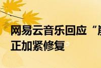 网易云音乐回应“崩了”：系基础设施故障，正加紧修复