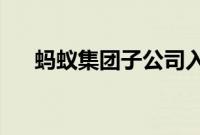 蚂蚁集团子公司入股秘塔网络科技公司