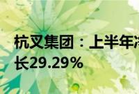 杭叉集团：上半年净利润10.07亿元，同比增长29.29%