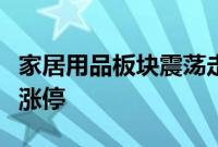 家居用品板块震荡走高，德尔未来、亚振家居涨停