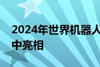 2024年世界机器人大会开幕，人形机器人集中亮相