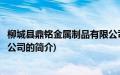 柳城县鼎铭金属制品有限公司(关于柳城县鼎铭金属制品有限公司的简介)