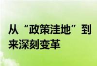 从“政策洼地”到“改革高地”，招商模式迎来深刻变革