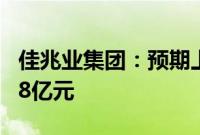 佳兆业集团：预期上半年亏损净额88亿元—98亿元