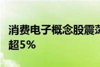 消费电子概念股震荡走低，瀛通通讯等多股跌超5%