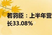 若羽臣：上半年营业收入7.87亿元，同比增长33.08%