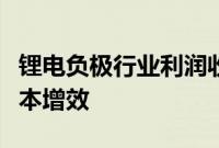 锂电负极行业利润收窄，企业两极分化倒逼降本增效