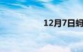 12月7日蚂蚁庄园答案