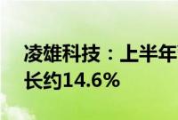 凌雄科技：上半年营收超9.42亿元，同比增长约14.6%