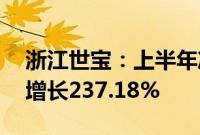 浙江世宝：上半年净利润6688.78万元 同比增长237.18%