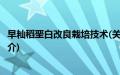 早籼稻垩白改良栽培技术(关于早籼稻垩白改良栽培技术的简介)