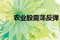 农业股震荡反弹，金健米业冲击涨停