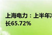 上海电力：上半年净利润13.27亿元，同比增长65.72%