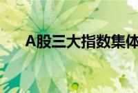 A股三大指数集体高开，国中水务跌停