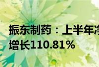 振东制药：上半年净利润3065.75万元，同比增长110.81%