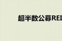 超半数公募REITs年内涨幅超10%