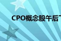 CPO概念股午后下挫，太辰光跌超5%