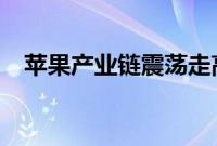 苹果产业链震荡走高，精研科技涨超15%