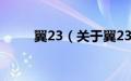 翼23（关于翼23的基本详情介绍）