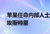 苹果任命内部人士帕雷克为新CFO，接替马埃斯特里