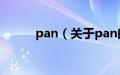 pan（关于pan的基本详情介绍）