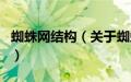 蜘蛛网结构（关于蜘蛛网结构的基本详情介绍）