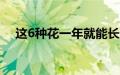 这6种花一年就能长成瀑布连窗帘都省了