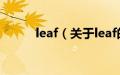 leaf（关于leaf的基本详情介绍）