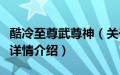 酷冷至尊武尊神（关于酷冷至尊武尊神的基本详情介绍）