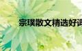 宗璞散文精选好词好句（宗璞散文）