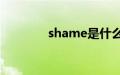 shame是什么意思中文翻译