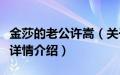 金莎的老公许嵩（关于金莎的老公许嵩的基本详情介绍）