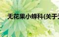 无花果小蜂科(关于无花果小蜂科的简介)