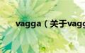 vagga（关于vagga的基本详情介绍）