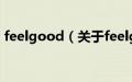 feelgood（关于feelgood的基本详情介绍）