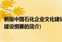 新版中国石化企业文化建设纲要(关于新版中国石化企业文化建设纲要的简介)