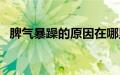 脾气暴躁的原因在哪里（脾气暴躁的原因）