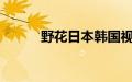 野花日本韩国视频免费高清观看