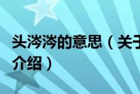 头涔涔的意思（关于头涔涔的意思的基本详情介绍）