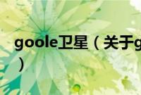 goole卫星（关于goole卫星的基本详情介绍）