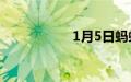 1月5日蚂蚁庄园答案