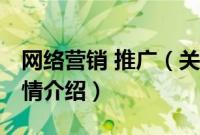 网络营销 推广（关于网络营销 推广的基本详情介绍）