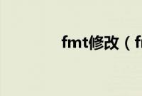 fmt修改（fm2010修改器）