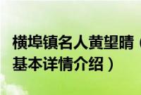 横埠镇名人黄望晴（关于横埠镇名人黄望晴的基本详情介绍）